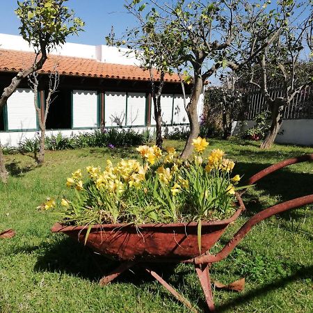 סאוסאל Casa Rural Limon Y Sol מראה חיצוני תמונה