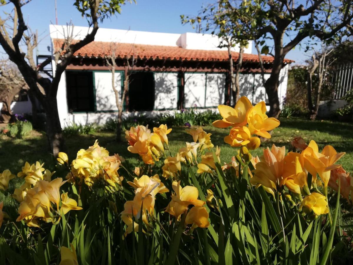 סאוסאל Casa Rural Limon Y Sol מראה חיצוני תמונה