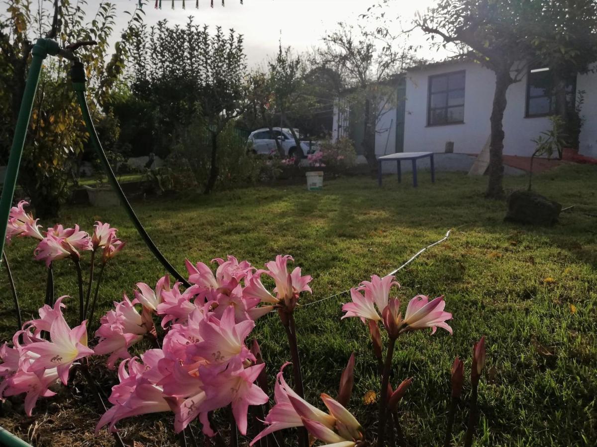 סאוסאל Casa Rural Limon Y Sol מראה חיצוני תמונה