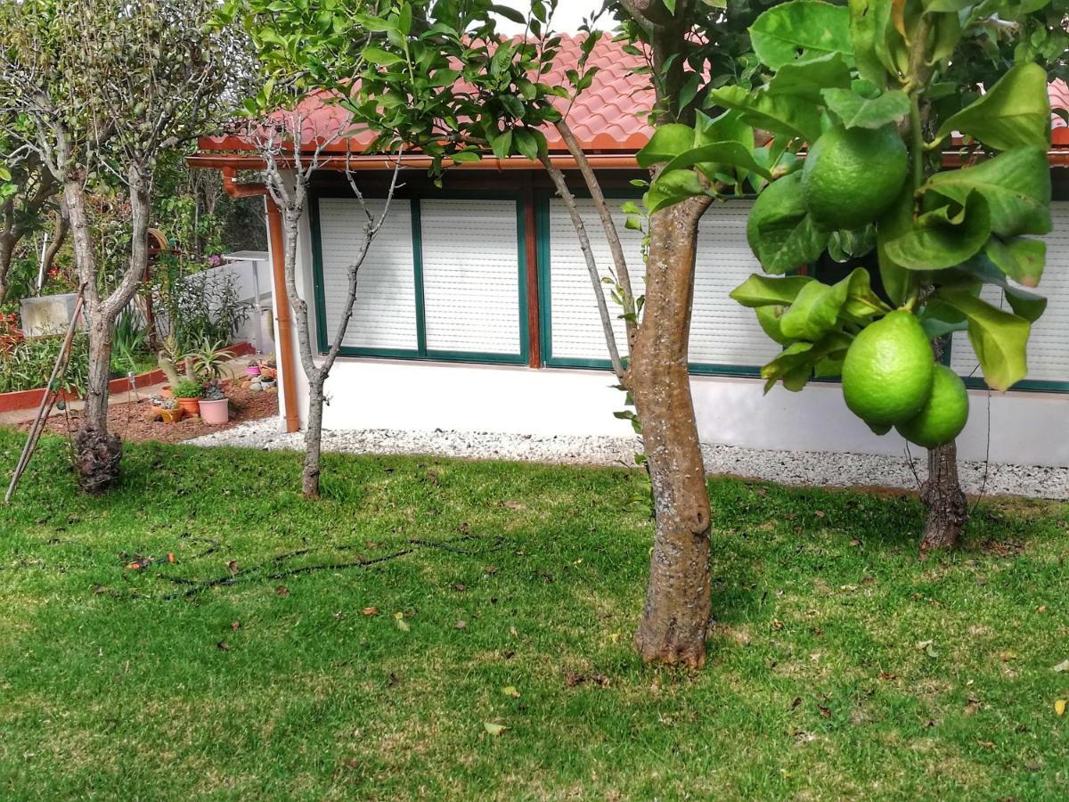 סאוסאל Casa Rural Limon Y Sol מראה חיצוני תמונה