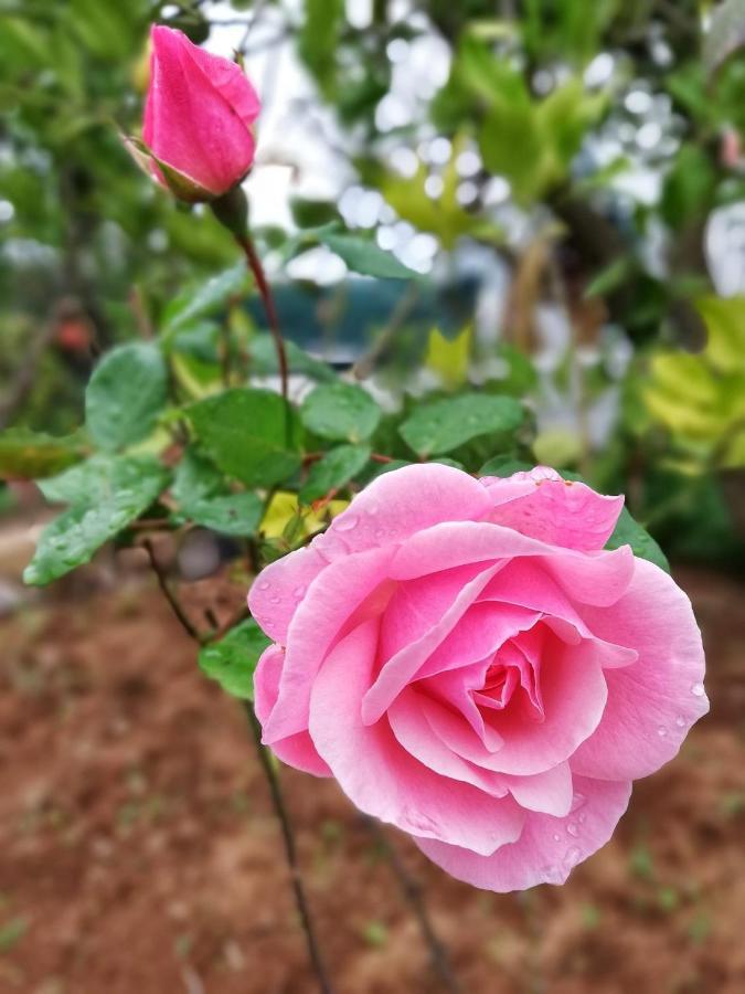 סאוסאל Casa Rural Limon Y Sol מראה חיצוני תמונה