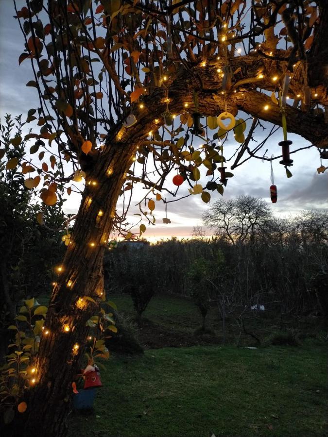 סאוסאל Casa Rural Limon Y Sol מראה חיצוני תמונה